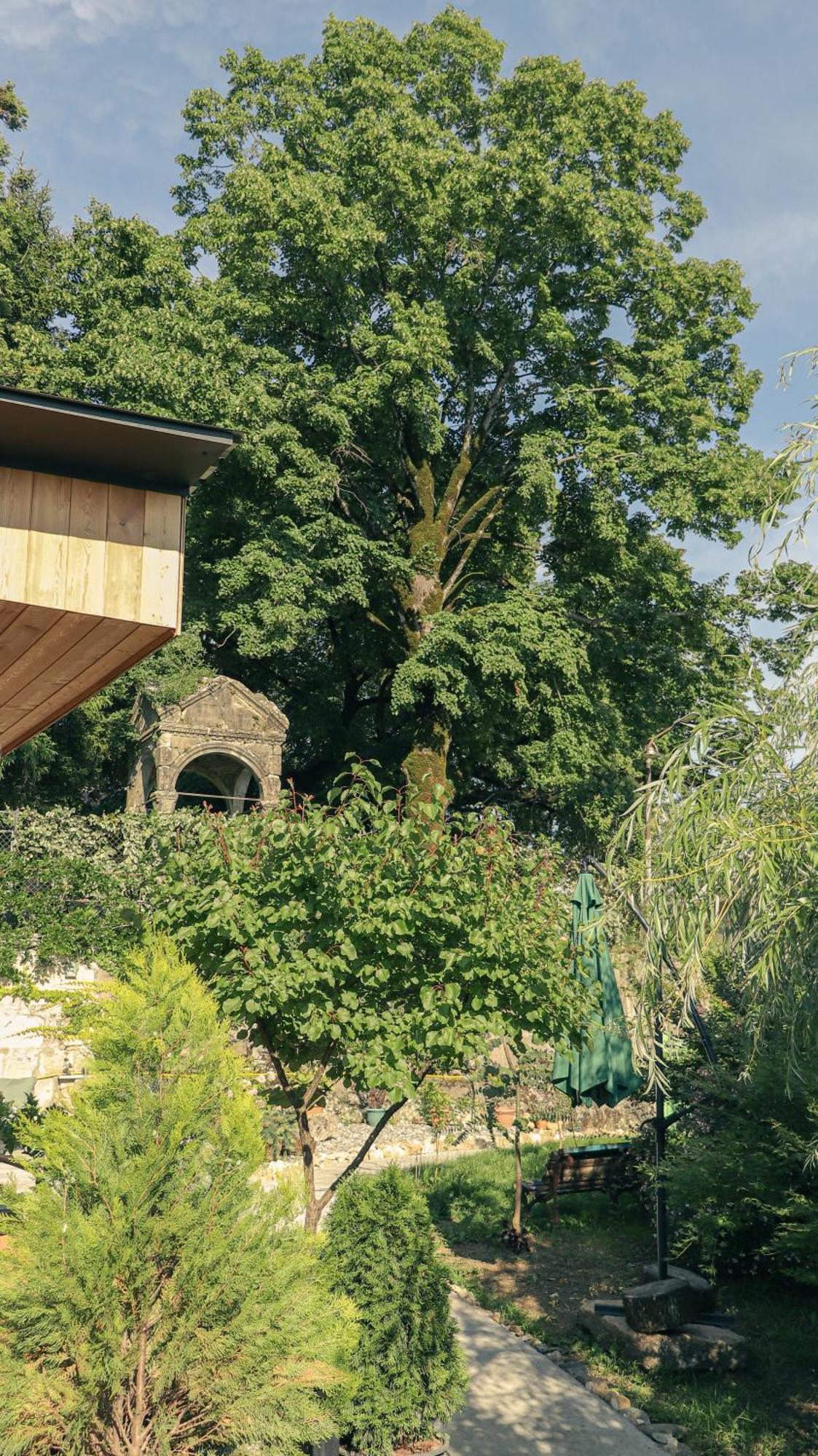 Garden Rooms In Kutaisi Luaran gambar